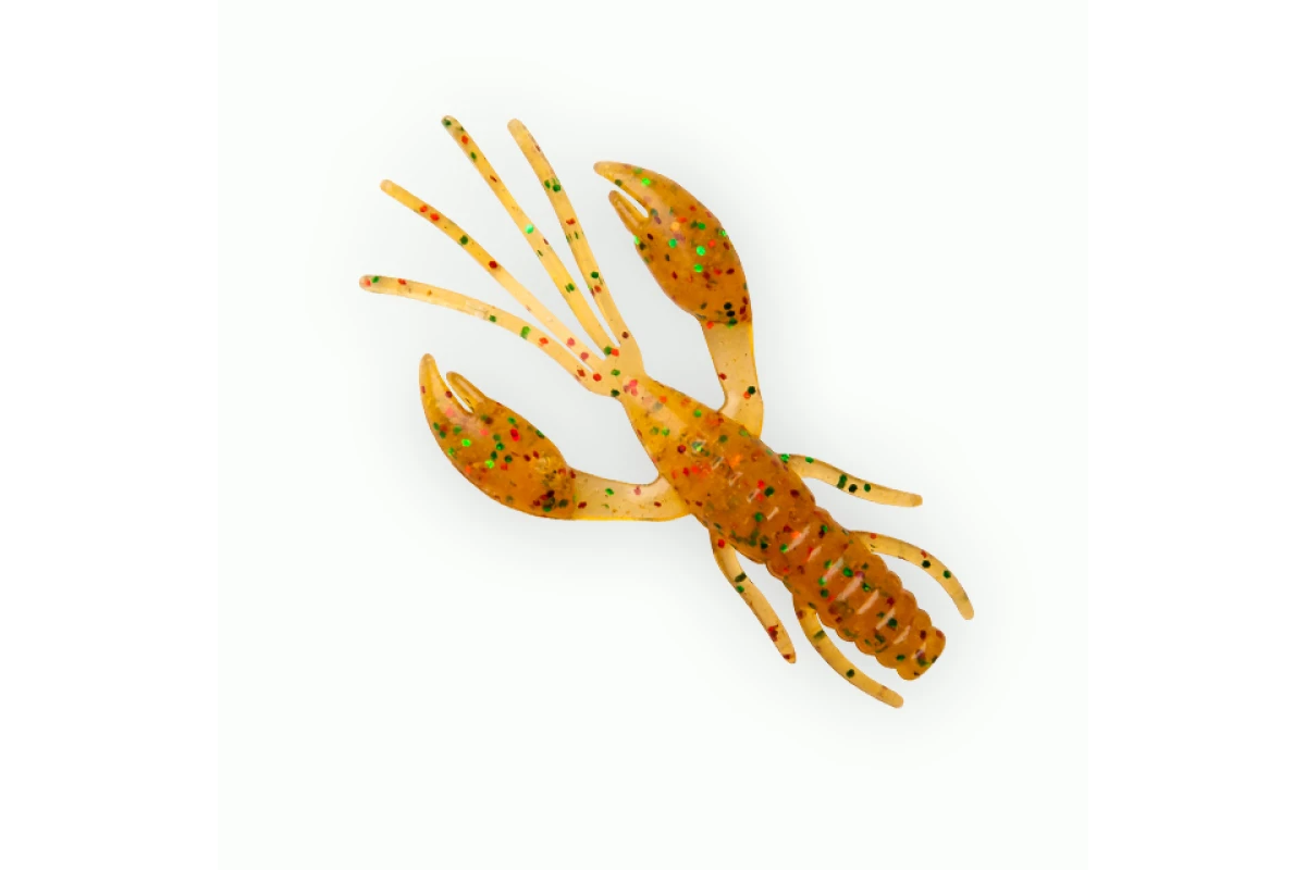 Võdik FANATIK Raider