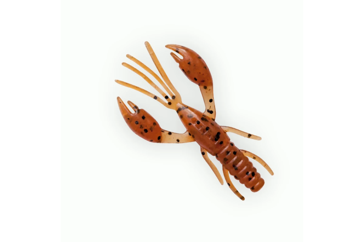 Võdik FANATIK Raider