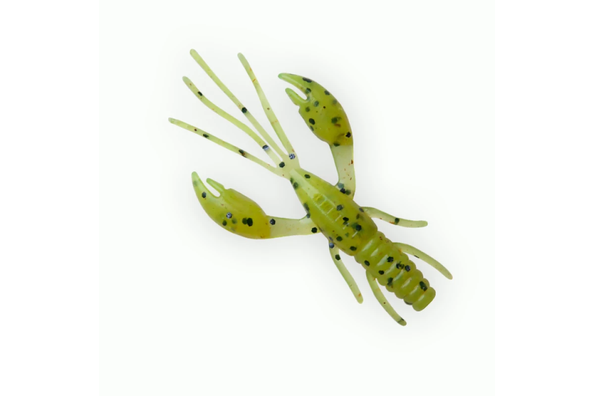 Võdik FANATIK Raider