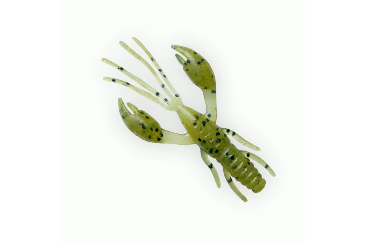 Võdik FANATIK Raider