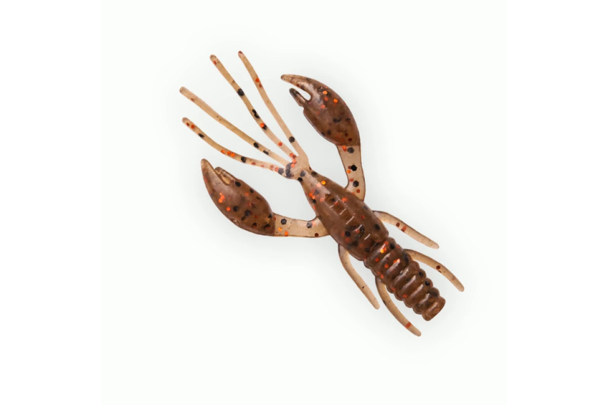 Võdik FANATIK Raider