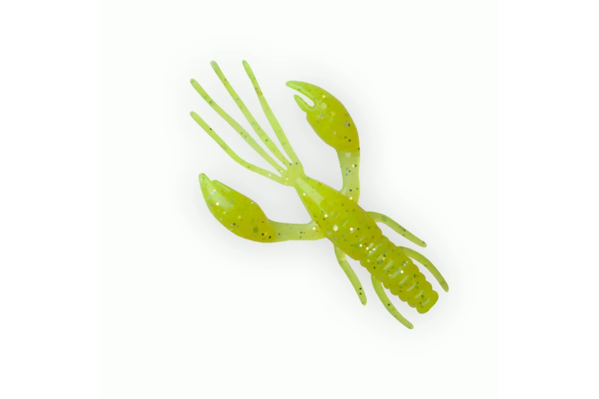 Võdik FANATIK Raider